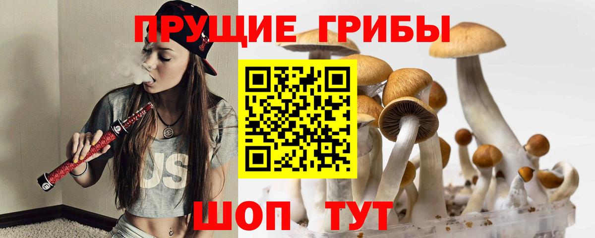 Псилоцибиновые грибы Cubensis Шебекино