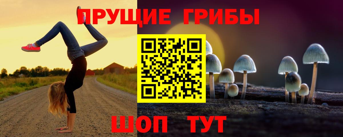 Псилоцибиновые грибы MAGIC MUSHROOMS  Вход с VPN  Псилоцибиновые грибы Psilocybe  Шебекино 